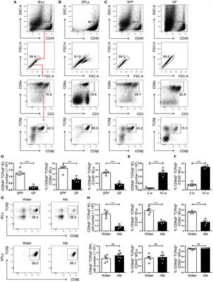 Commensal Bacteria-Dependent CD8αβ+ T Cells in the Intestinal Epithelium Produce Antimicrobial Peptides